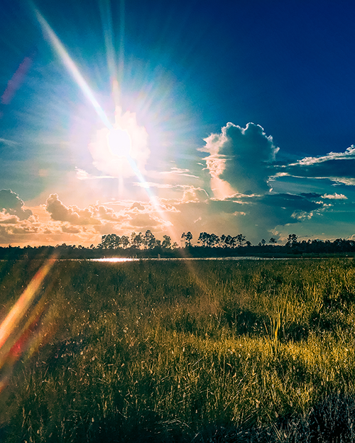 Lowcountry Sunset